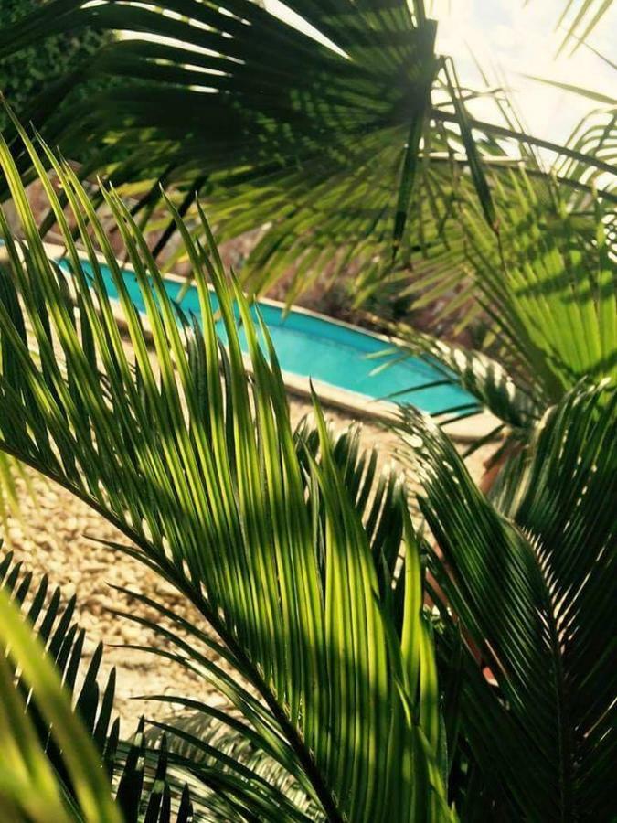 Apartmánový dom RED Hotel Podhájska Esterno foto
